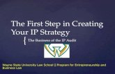Ip audit and strategy studentcopy