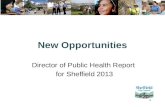 Director of Public Health Report 2013