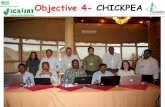 TLI 2012: Chickpea research workplan