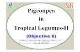 19  K B Saxena  Objective6 Pigeonpea