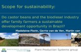 Scope for sustainability: do castor beans and the biodiesel industry offer family farmers a sustainable development opportunity in Brazil? Madeleine Florin