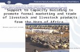 Support to Capacity building to promote formal marketing and trade of livestock and livestock products from the Horn of Africa