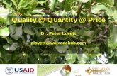 Quality @ Quantity @ Price: The shea industry today