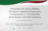 Proposals for Africa RISING Ethiopian Highlands Research Component 2—Community level issues and interventions