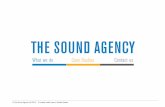 Credentials & Case Studies | The Sound Agency