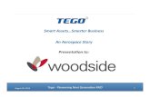 Tego's CEO Presentation at Woodside on August 15th, 2014
