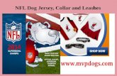 NFL Team with Dog Jersey, Collar and Leashes