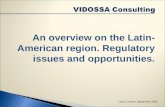 Vidossa Consulting Presentation