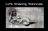 Life Drawing Overview