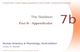 Chapter 7b   appendicular skeleton