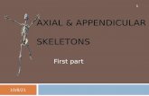Axial & appendicular