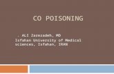 Co Poisoning