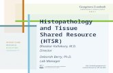 GHUCCTS Histopathology and Tissue Shared Resource