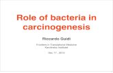 Bacteria&cancer biomed dec_2013