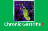 L7 chronic gastritis f