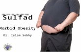 Sulfad in Controlling Fatty Liver, NASH in Obese Patients