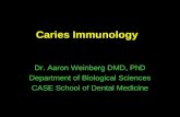 Oral Immunology DEND 215