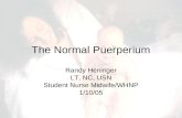 Normal puerperium-1