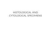 Histological and cytological specimens