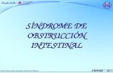 6.  Síndrome de Obstrucción Intestinal pediatría