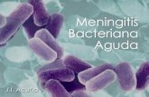 Meningitis Bacteriana (pediatría)