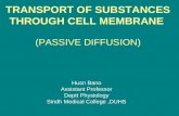 11.10 (dr. husun bano)transport of substances across cell membrane