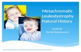 Metachromatic Leukodystrophy Natural History Study