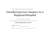 Introducing Liver Surgery In Port Macquarie