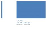 Immunotherapy Update in Oncology