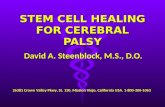 Bone Marrow Stem Cell Therapy for Cerebral Palsy