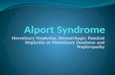 Alport syndrome. group 7