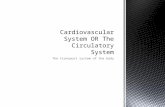 Cardiovascular system or the circulatory system