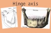 hinge axis