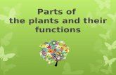 Parts of the plants and their functions