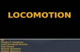Locomotion System