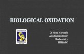 Biological oxidation ppt BIOCHEMISTRY