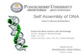 Self assembly of dna