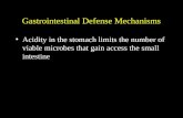 Gastrointestinal Defense Mechanisms Acidity in the stomach ...