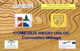 Comenius Regio Hayle Community School - IES Reyes Católicos - Outdoor Education Centre