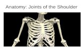 Anatomy of the shoulder micro-teaching D McGechie