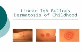 Linear IgA bullous dermatosis II
