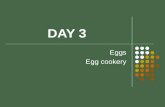 Eggs and egg cookery