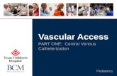 2013 Pediatric Subspecialty Boot Camp_Central venous access