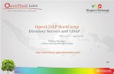 Directory Servers and LDAP