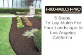 How to lay mulch for your landscape in los angeles california[1]