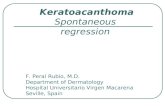 Keratoacanthoma. spontaneous regresion
