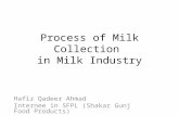 Process Of Milk Collection