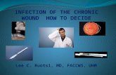 Infection of the chronic wound how to decide