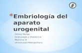 Embriología del aparato urogenital