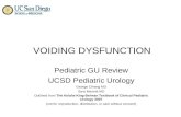 PEDI GU REVIEW voiding dysfunction i